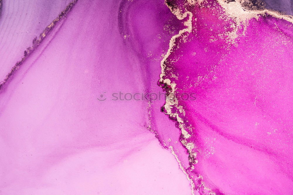 Similar – Image, Stock Photo magenta II Nature