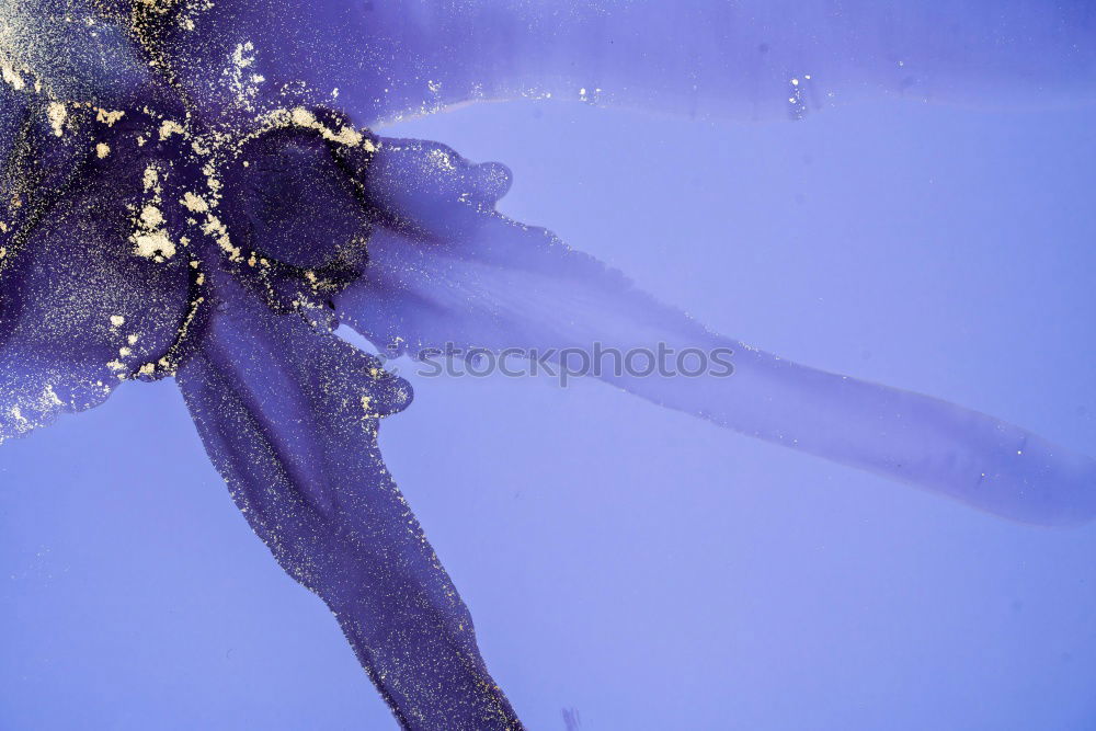 Similar – Foto Bild Fischi Zoomeffekt Aquarium