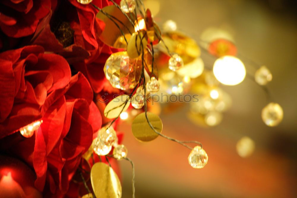 Similar – Image, Stock Photo a present is waiting Gift