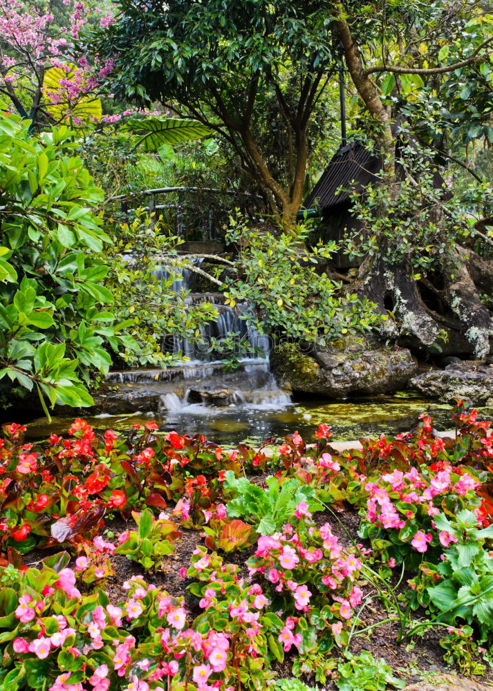 Similar – Image, Stock Photo Japanese Garden Landscape