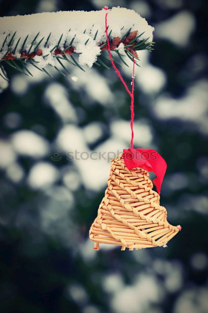 Similar – Image, Stock Photo Christmas fir shape Winter