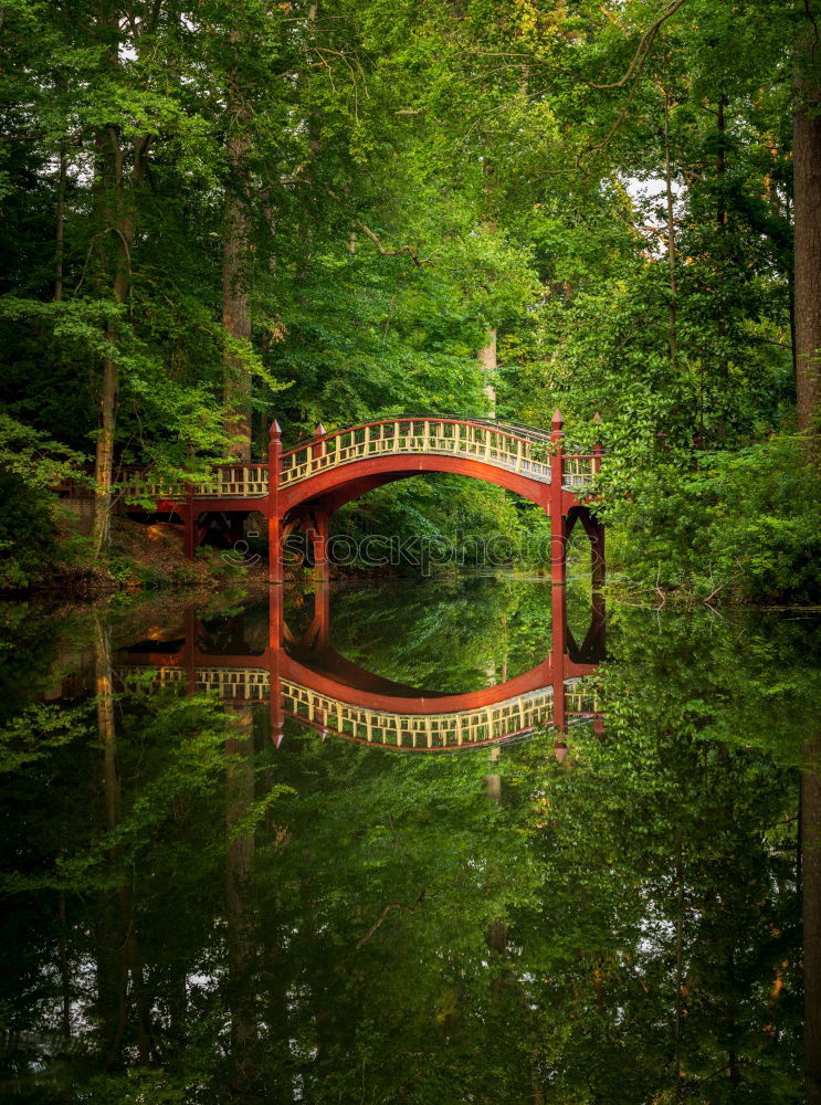 Image, Stock Photo milked England Lake Park