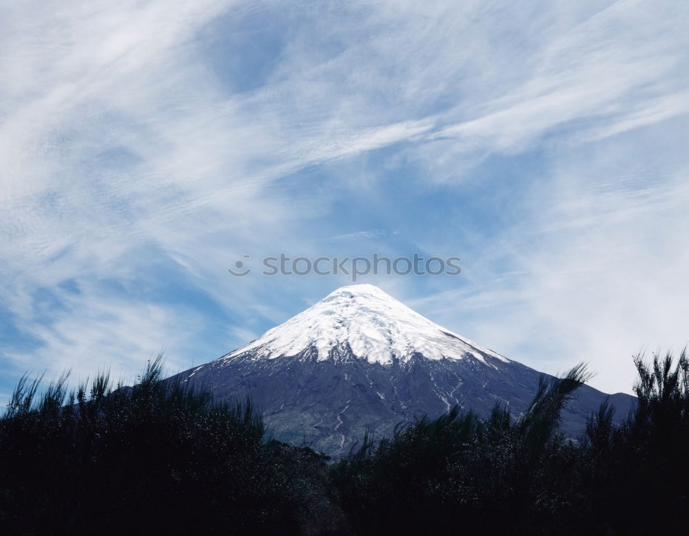 Similar – Wild horses in front of the Cotopaxi volcano in Ecuador