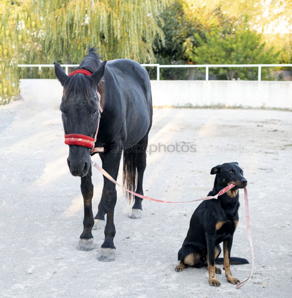 Similar – Foto Bild Spaziergang