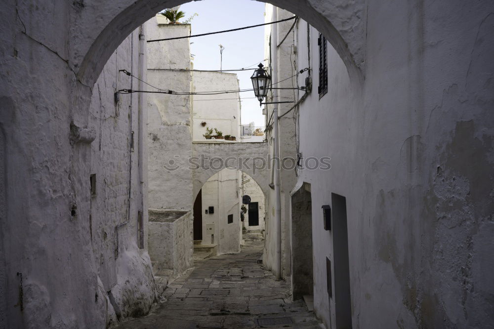 Similar – Image, Stock Photo Morocco Vacation & Travel