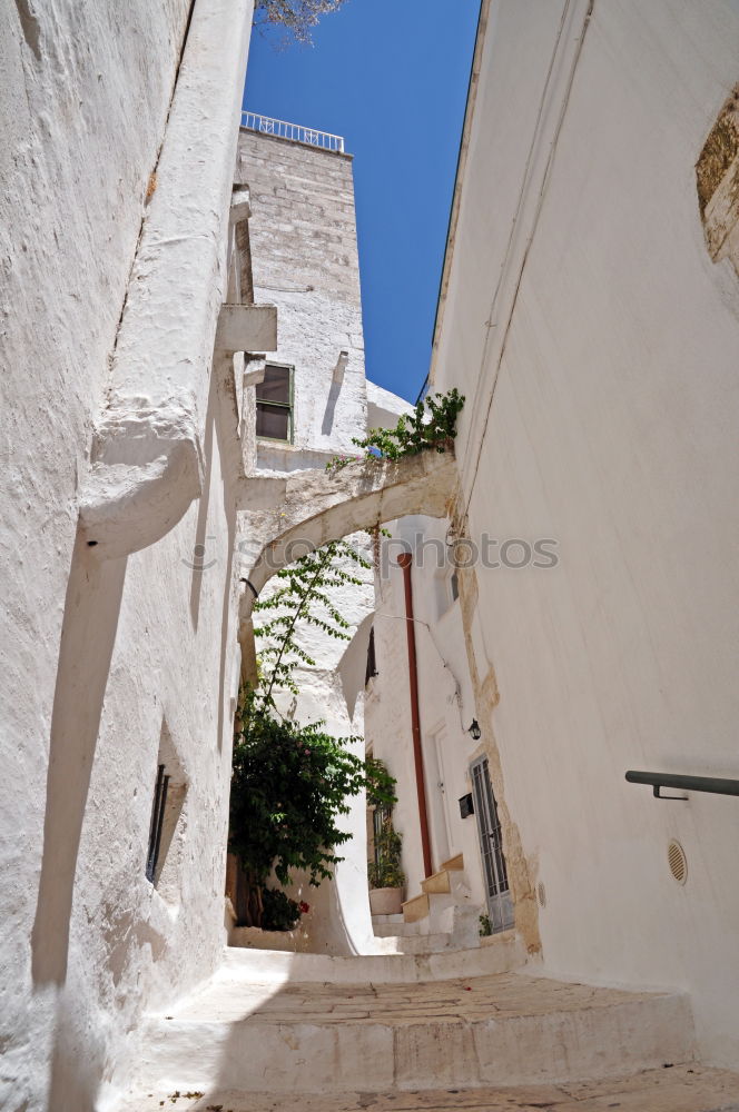 Similar – Image, Stock Photo Kasbah de Oudaïa Rabat