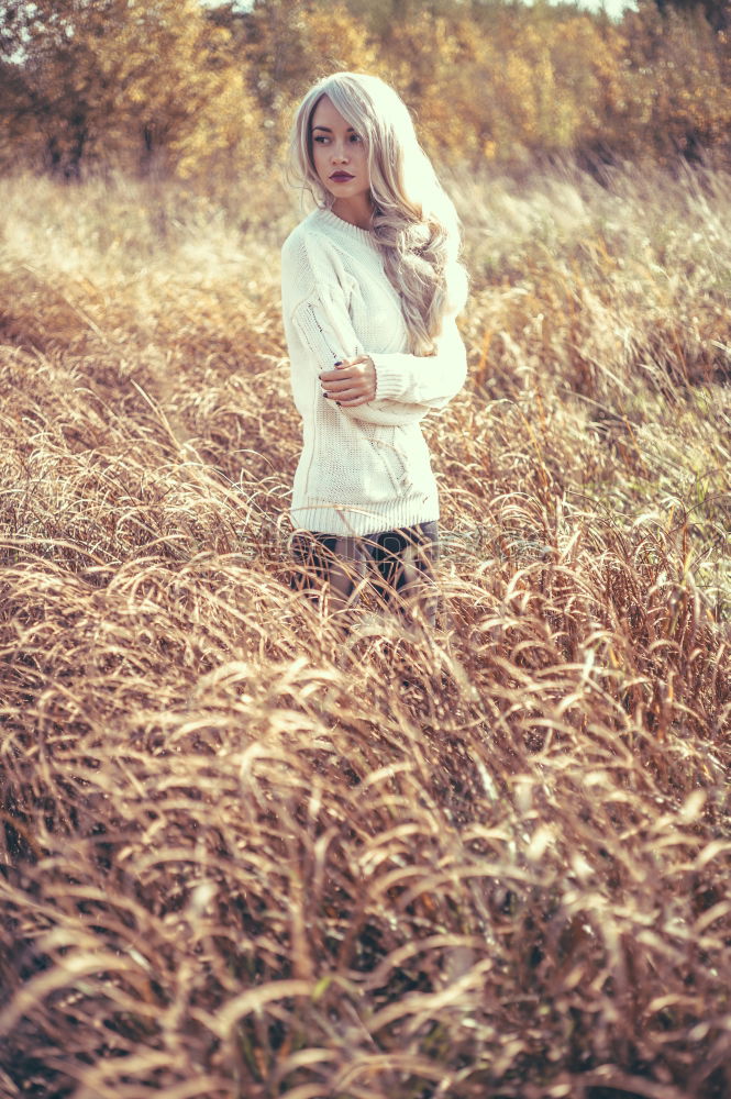 Similar – Woman in middle of wheat field