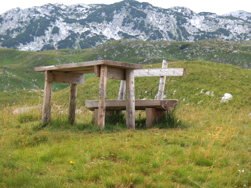 Similar – irritation Landscape Grass