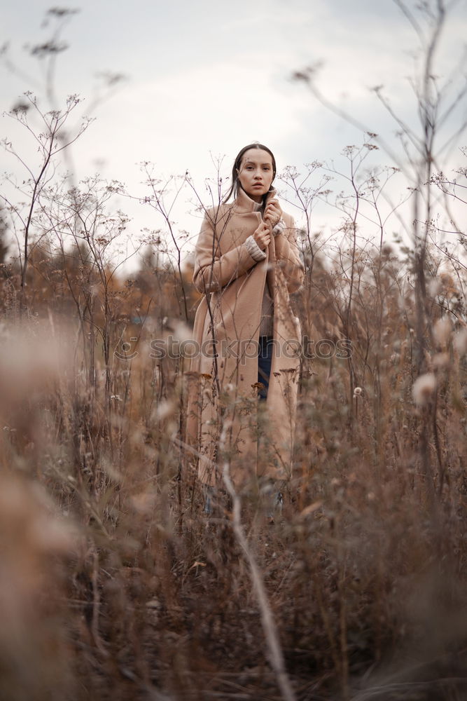 Similar – Woman posing on twigs of dry trees