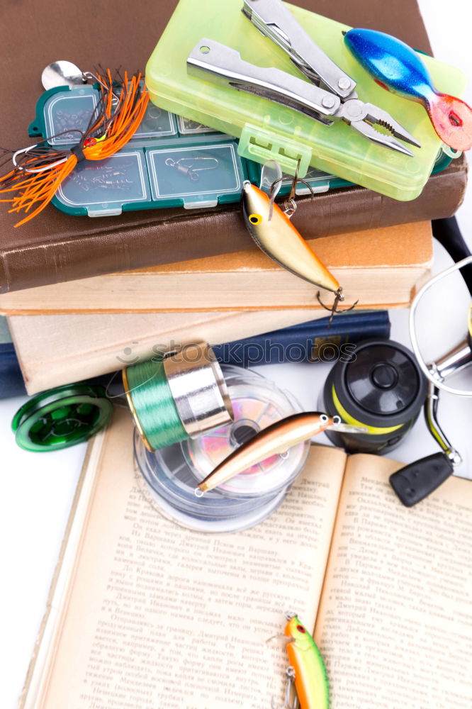 Similar – Young woman putting old books to paper bag in antique bookstore