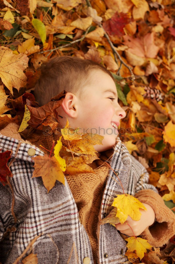 Similar – Children hands hold a yellow maple leaf