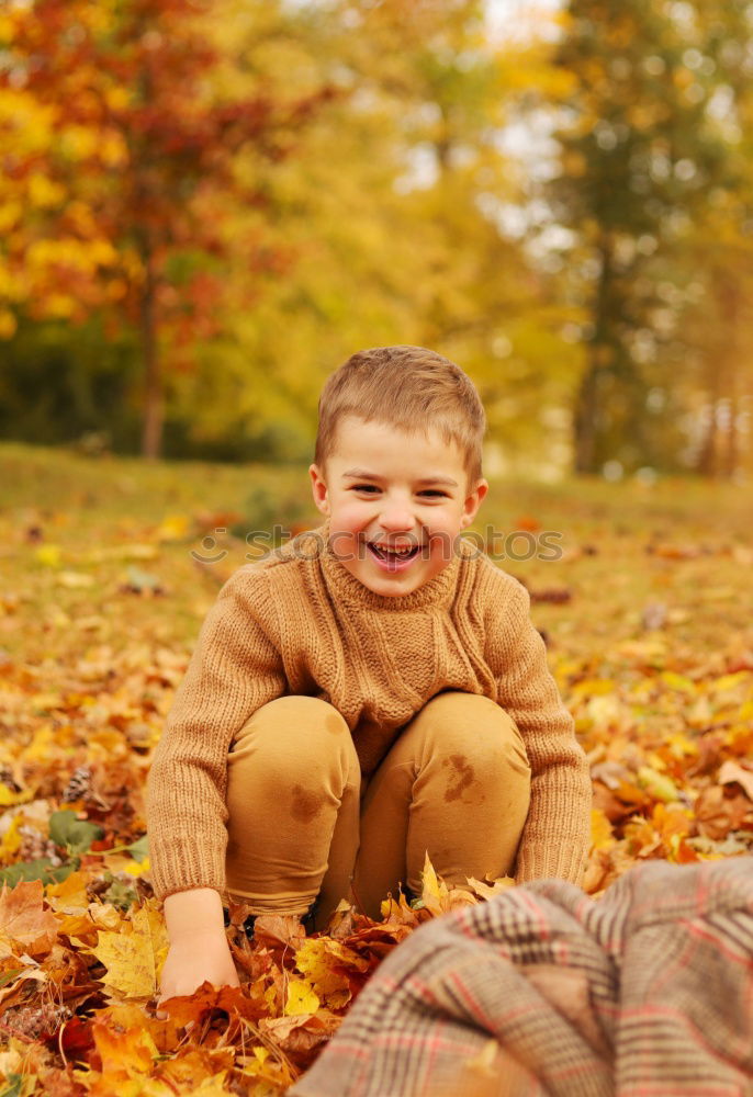 Similar – Image, Stock Photo Cute kid against a yellow tree in autumn