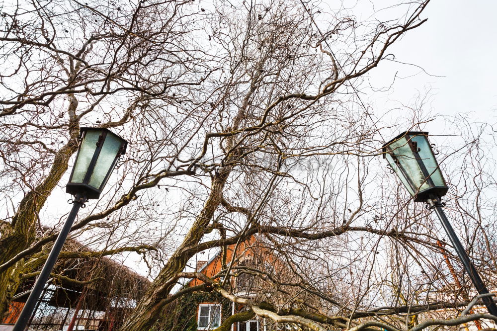 Image, Stock Photo Allotments I Environment