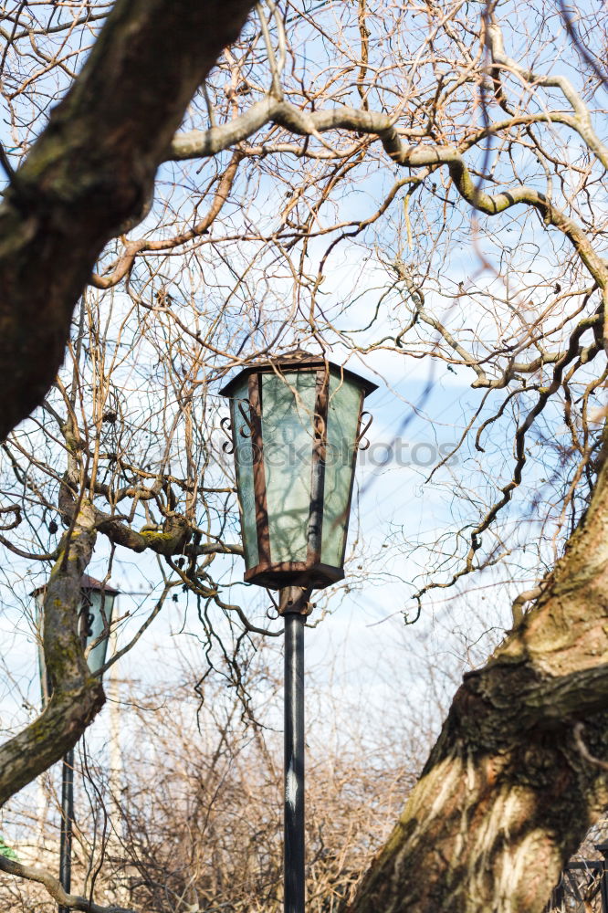 Similar – Image, Stock Photo Allotments I Environment