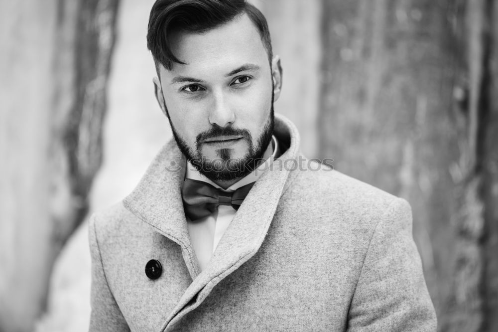 Similar – Image, Stock Photo young man with beard, bow tie and suit