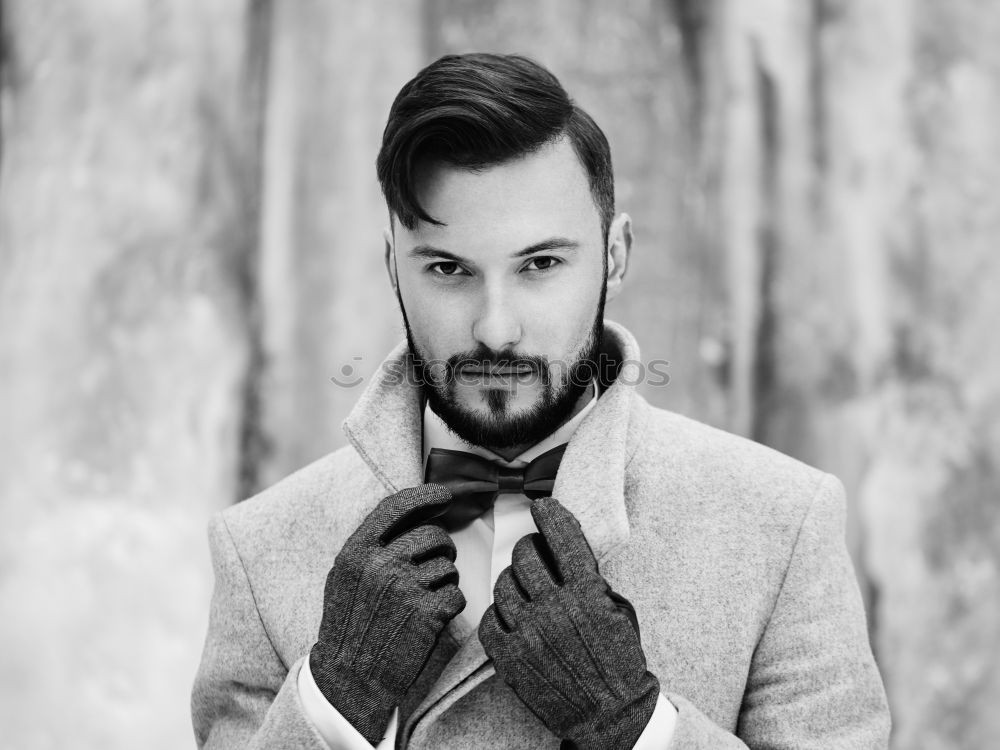 Similar – Image, Stock Photo young man with beard, bow tie and suit