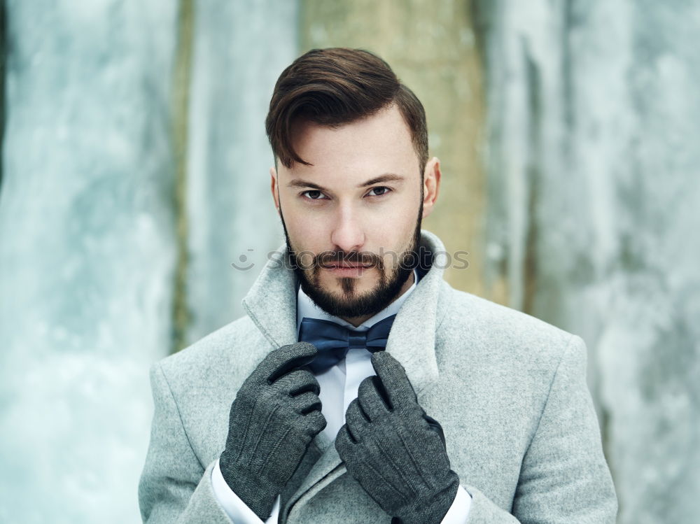 Similar – Image, Stock Photo young man with beard, bow tie and suit