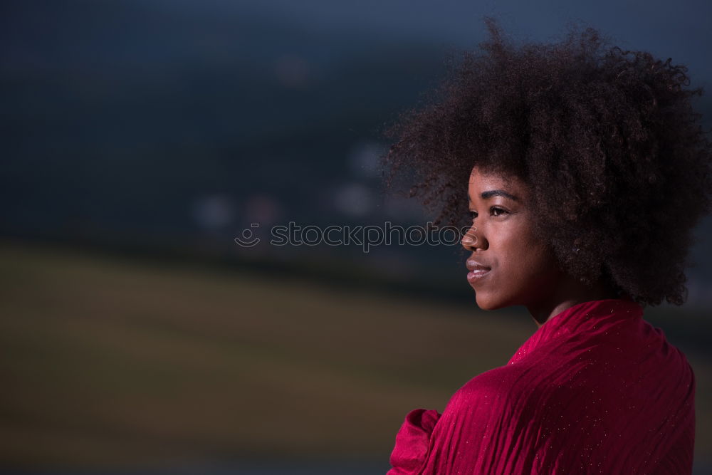 Similar – Image, Stock Photo Gorgeous black woman in dress on street