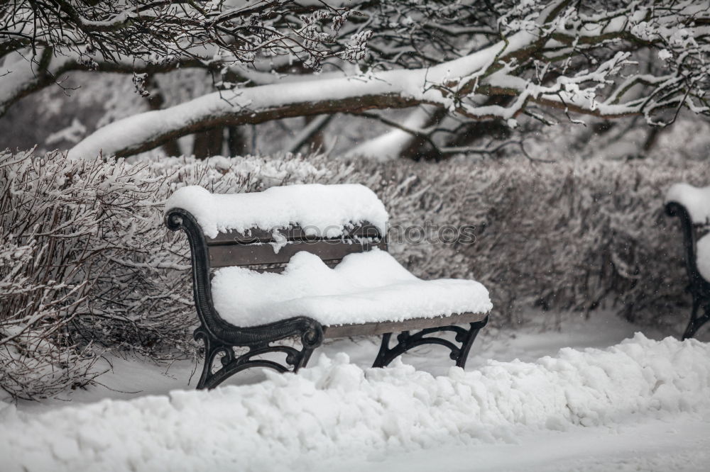 Similar – Eiszeit kalt Speiseeis