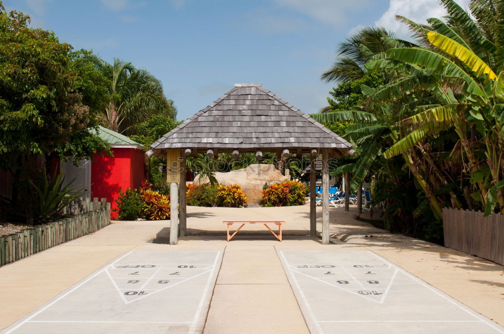 Zanzibar I Park Deserted