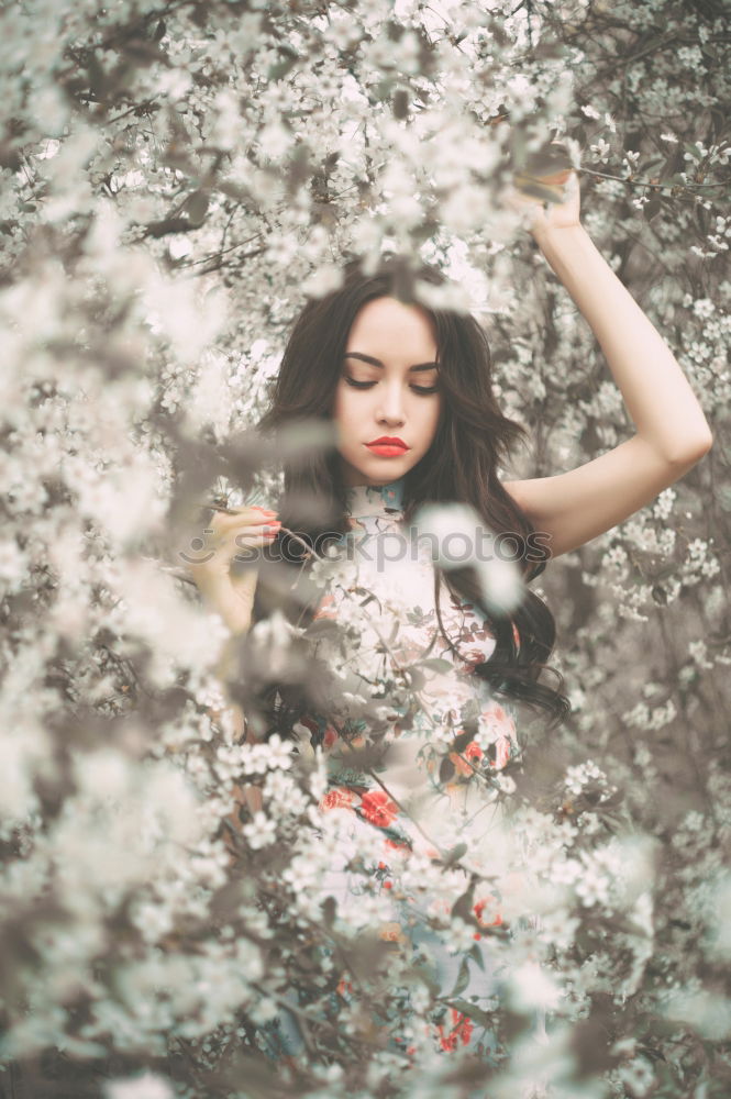 Similar – Young woman with branches growing in her head