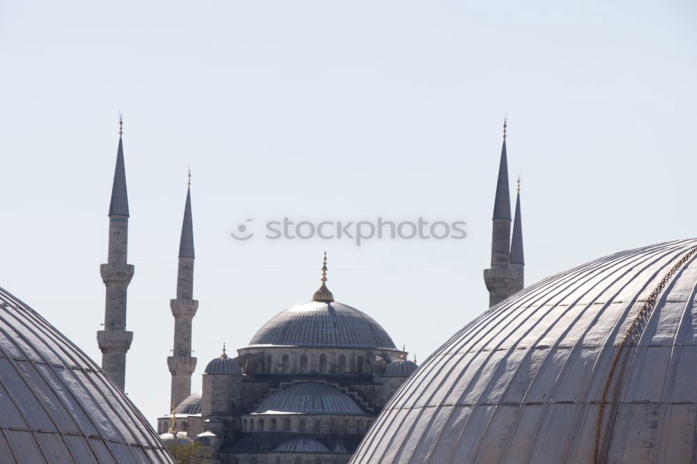 Blue mosque in grey I