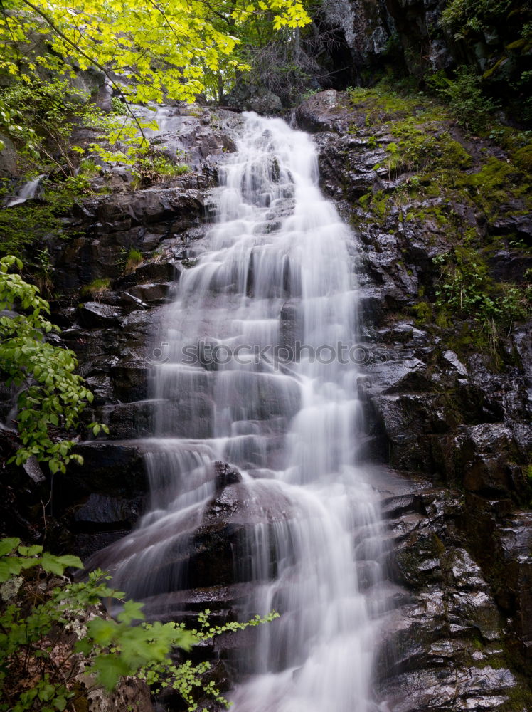 Radau waterfall Nature