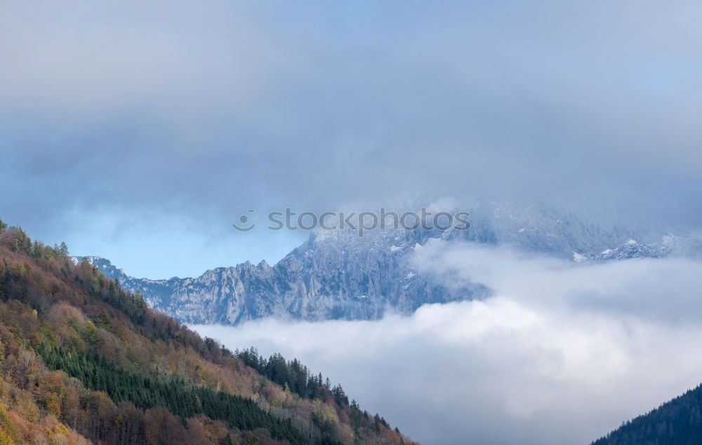 Similar – Image, Stock Photo Autumn forest and snowy mountains