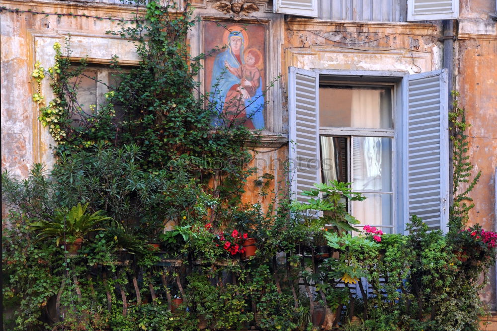 Similar – Image, Stock Photo Front of houses in Yangon