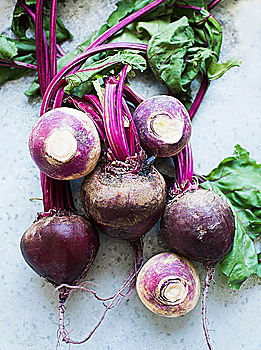 Similar – Image, Stock Photo Various beetroot on old wood