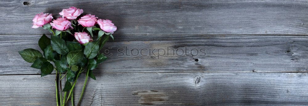 Similar – Flowers with pink ribbon