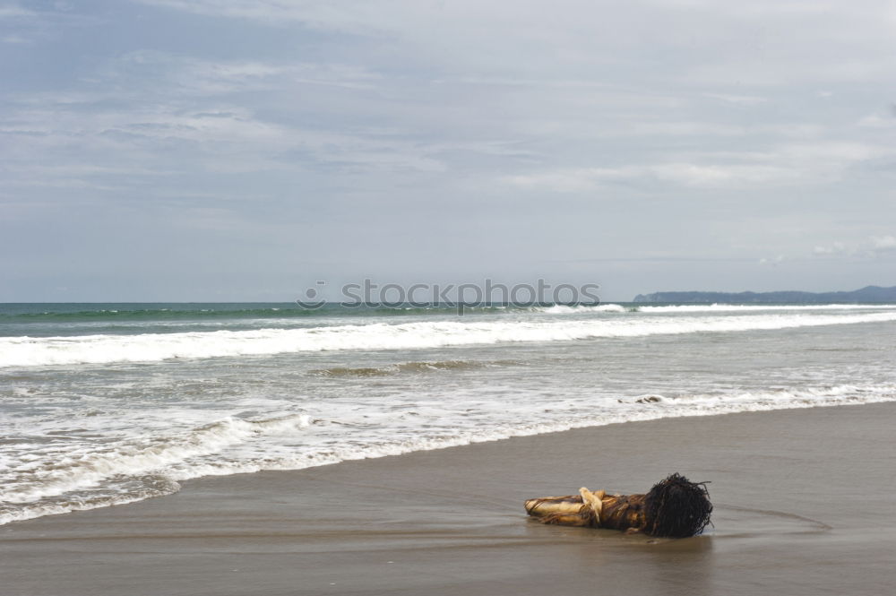 Similar – frau am strand Strand Frau