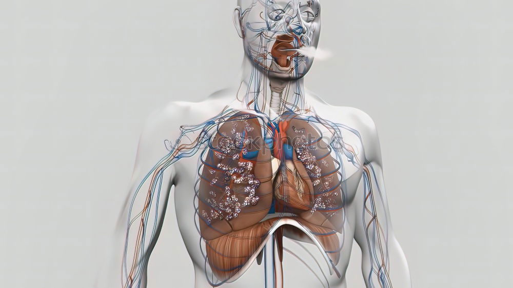 Similar – Man with cigarette and smoker’s lung