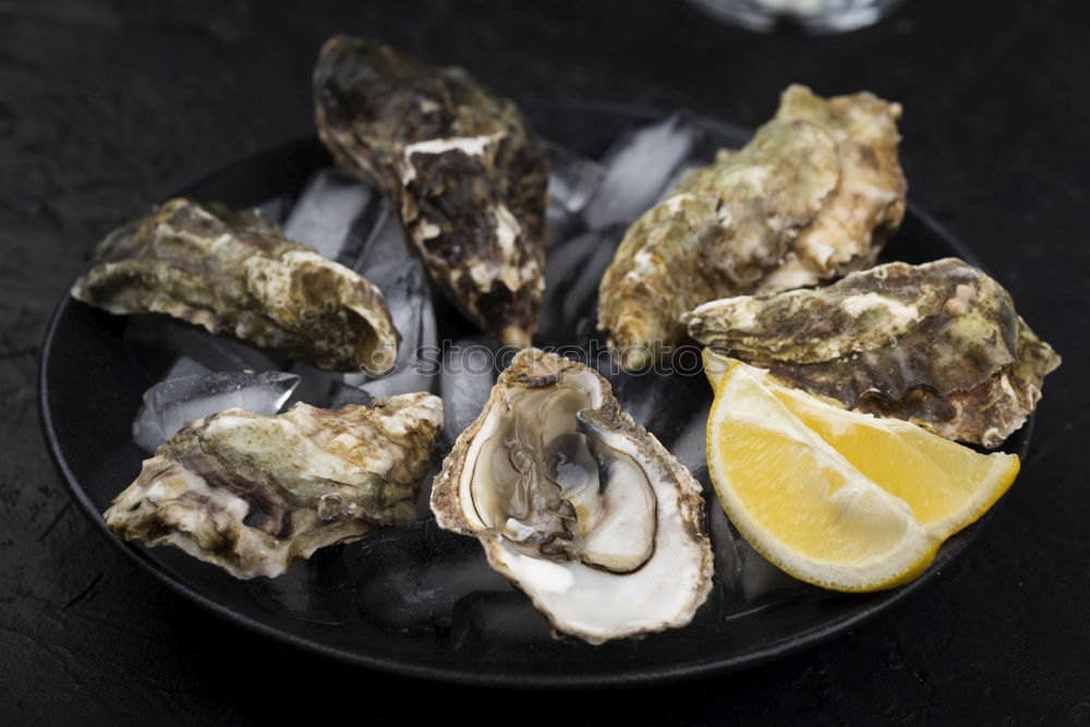 Similar – Image, Stock Photo Oysters with lemon and oyster knife