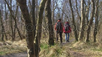 Similar – Image, Stock Photo Mother with her little daughter walking through the forest