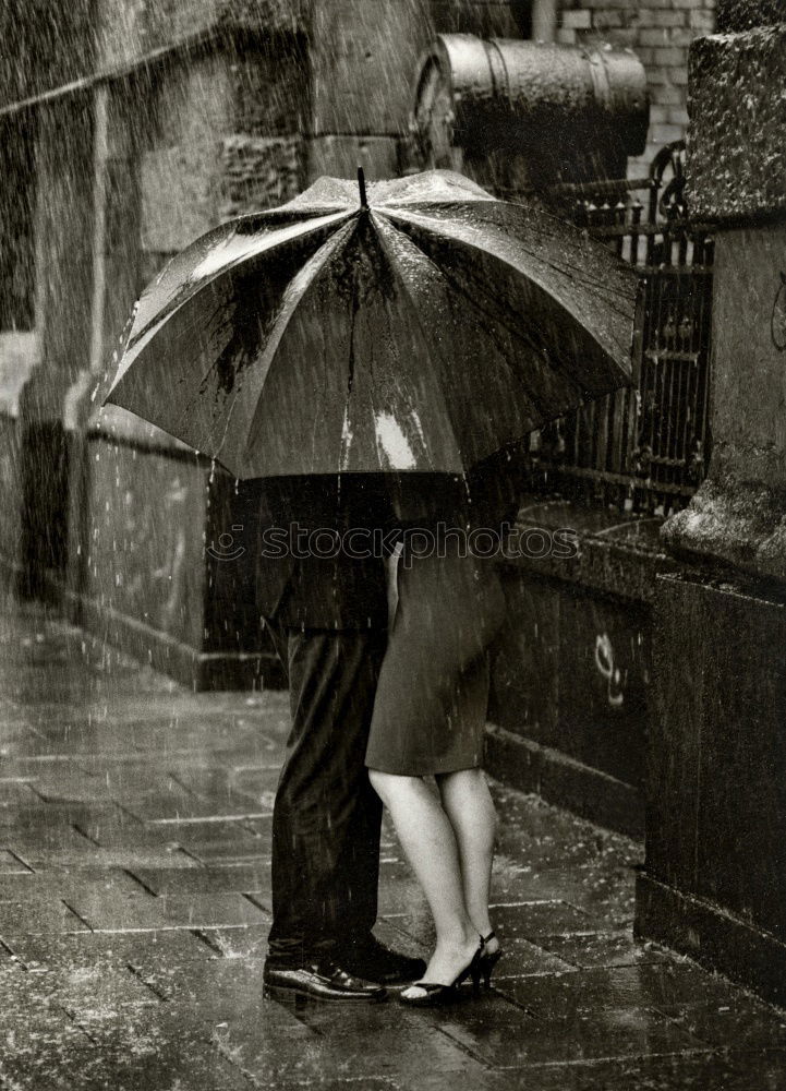 Similar – Rain in London Umbrella