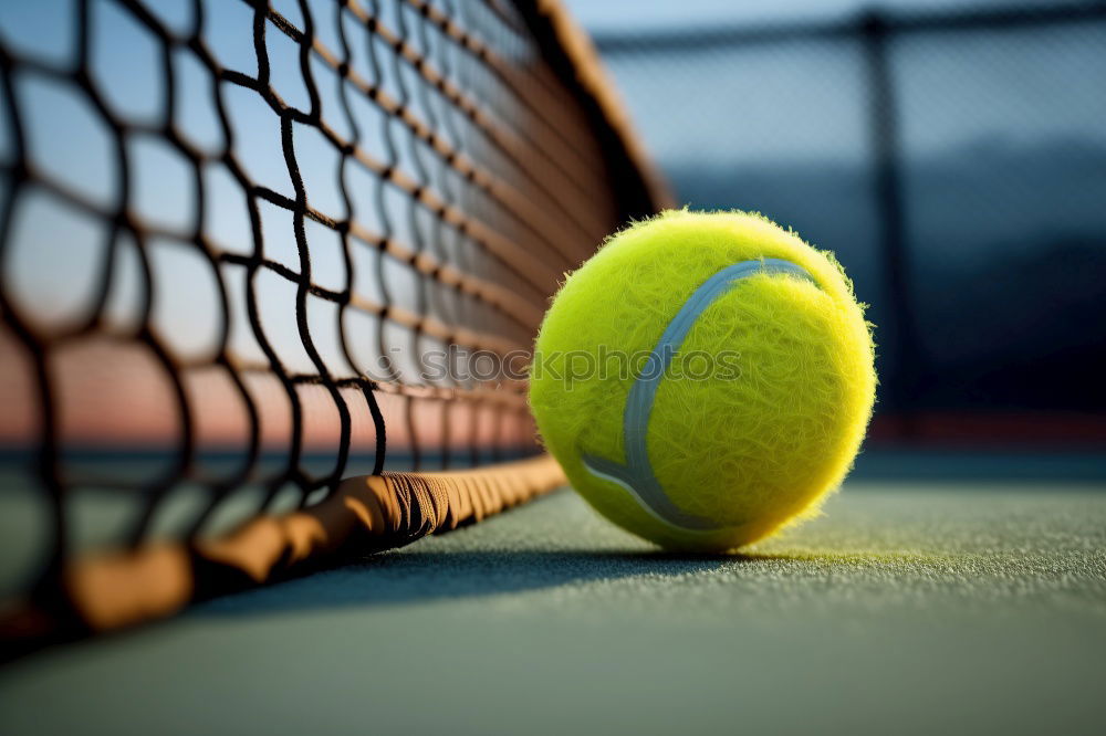 Image, Stock Photo Padel blade racket resting on the net