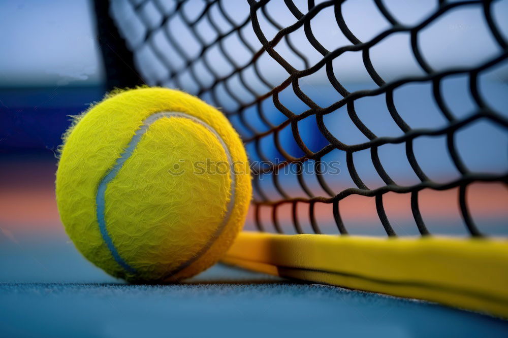 Similar – Image, Stock Photo Padel blade racket resting on the net