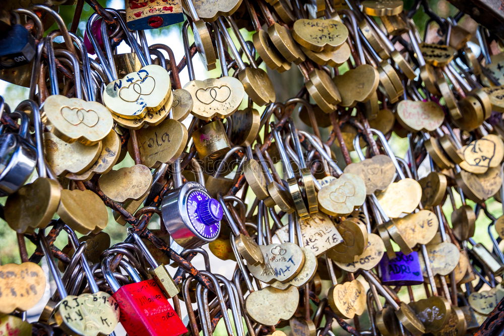 Similar – Image, Stock Photo Many love locks on the bridge