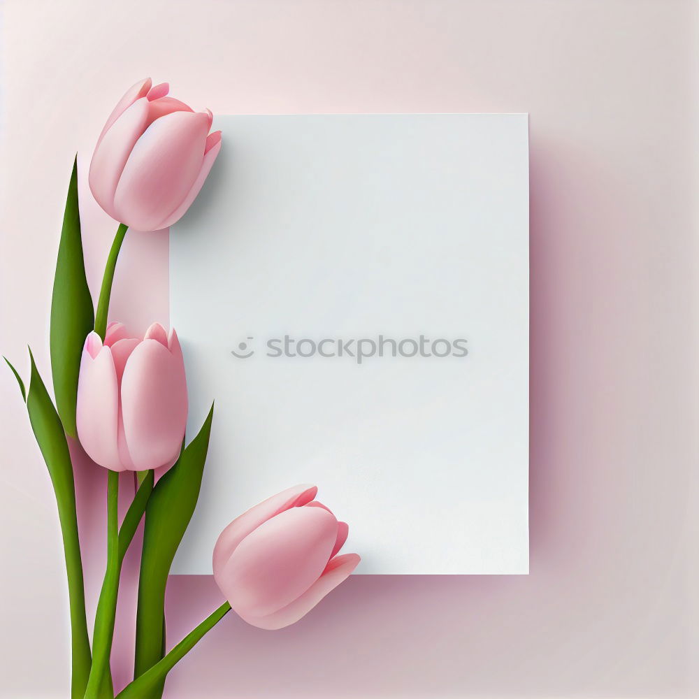 Similar – Pink flowers on white blank paper card