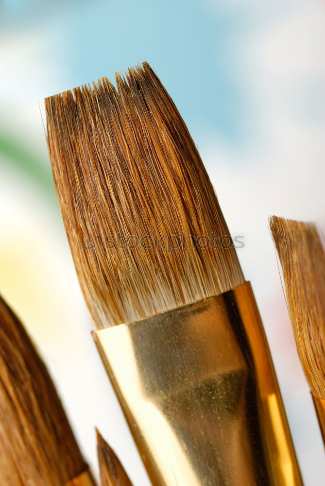 Image, Stock Photo brush Paintbrush