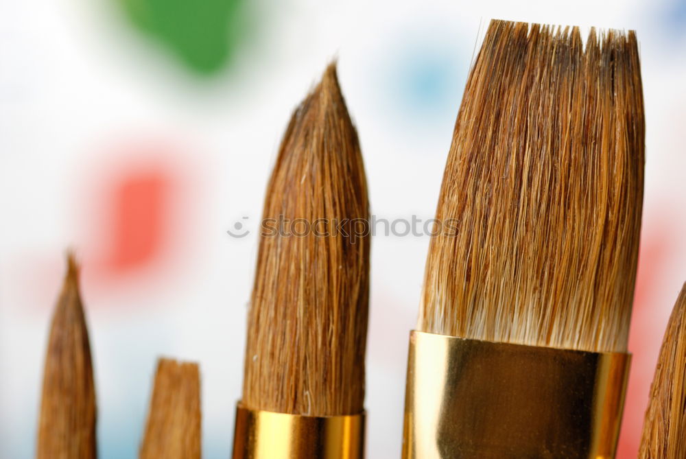 Similar – Image, Stock Photo brush Paintbrush