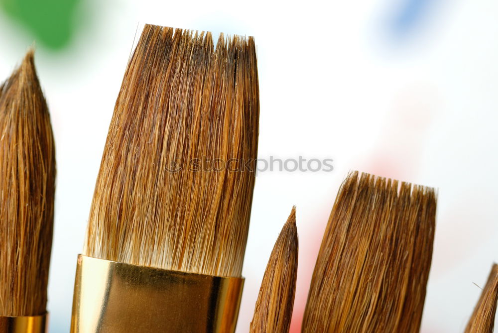 Similar – Image, Stock Photo brush Paintbrush