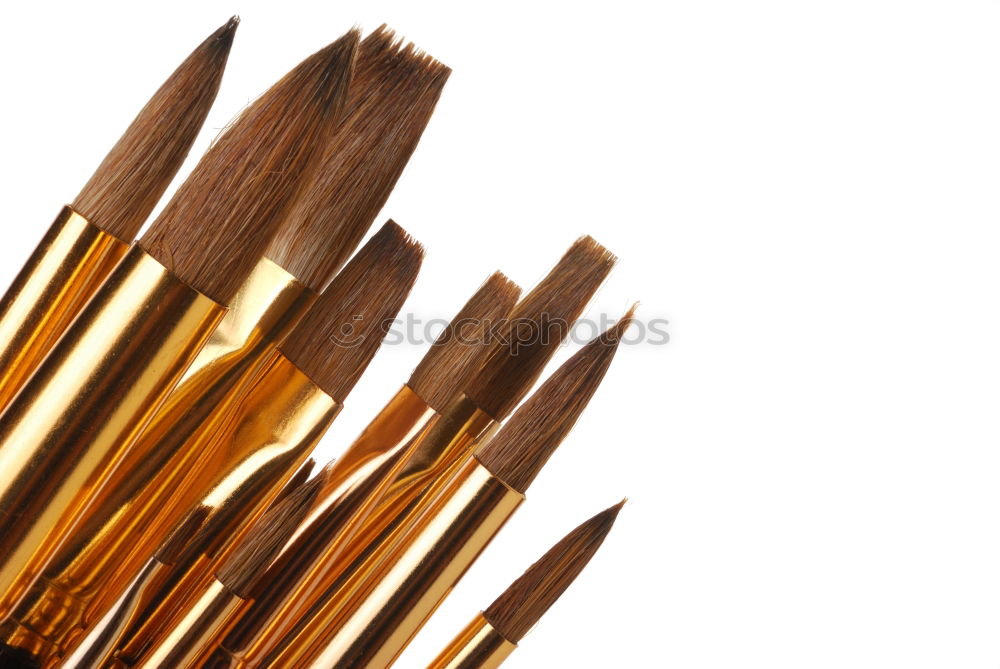 Similar – Image, Stock Photo brush Paintbrush