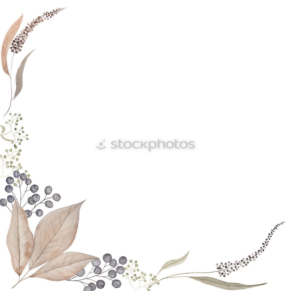 Similar – Square golden frame made of green watercolor leaves, wedding illustration