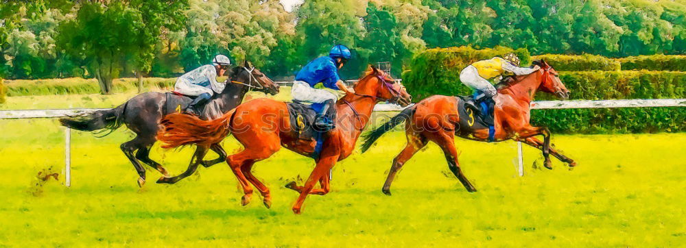 Similar – Image, Stock Photo 1 HP Horse Show jumping