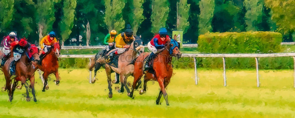 Similar – Image, Stock Photo 1 HP Horse Show jumping