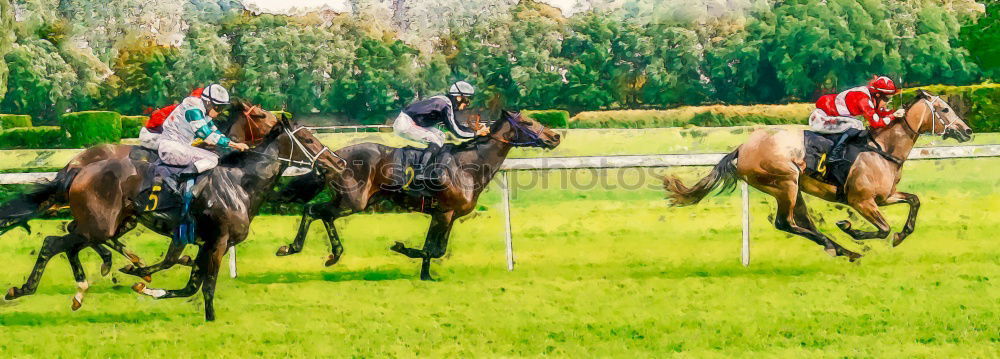 Similar – Image, Stock Photo 1 HP Horse Show jumping