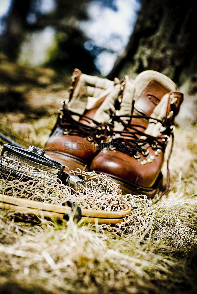 Similar – Image, Stock Photo Hiking adventure in the woods and forest