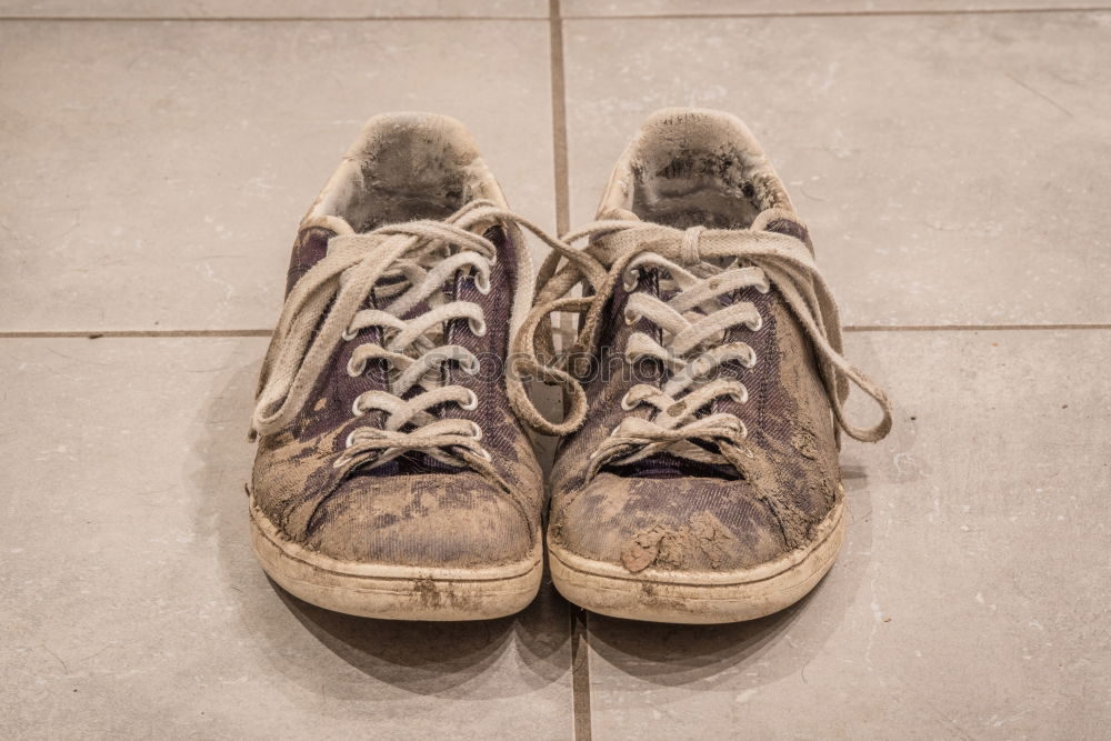 Similar – Image, Stock Photo Note: Never store leather shoes in a damp cellar.